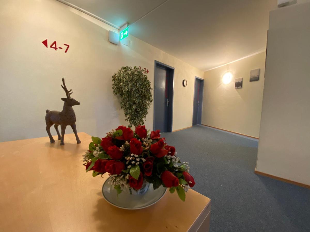Hotel Hirschen Hinwil Exterior photo